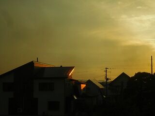 DSCN1583