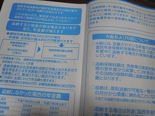 追 国民 納 年金
