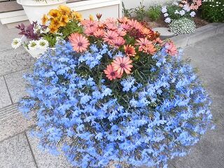 DSCN0936