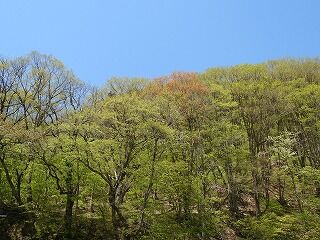 DSCN3913