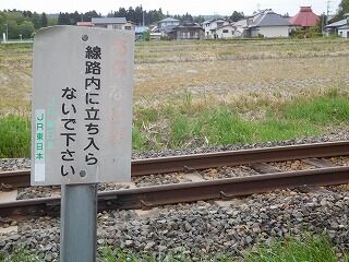 DSCN0387