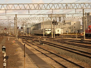 DSCN2496