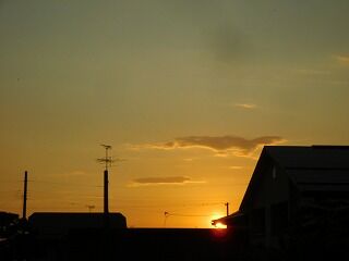 DSCN0565