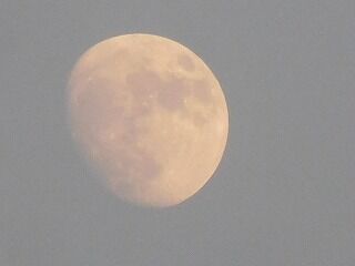 DSCN9435