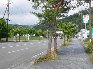 DSCN0131