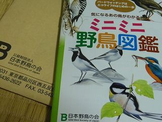 教師ラウンジへようこそ 日本野鳥の会 ミニミニ野鳥図鑑