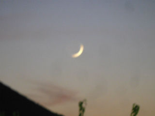 DSCN9726