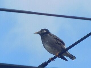 DSCN0907
