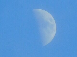 DSCN9713