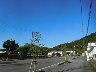 DSCN0913