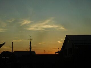 DSCN1527
