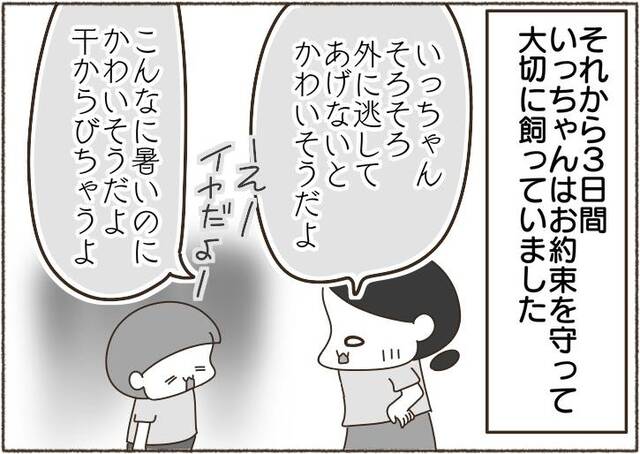 jpg