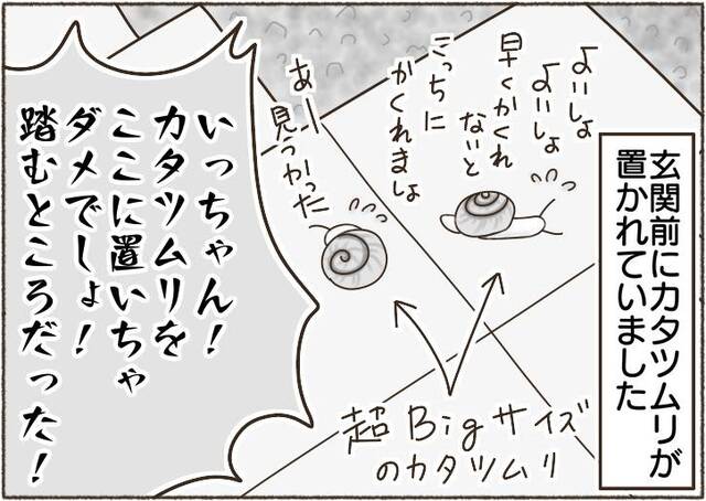 jpg