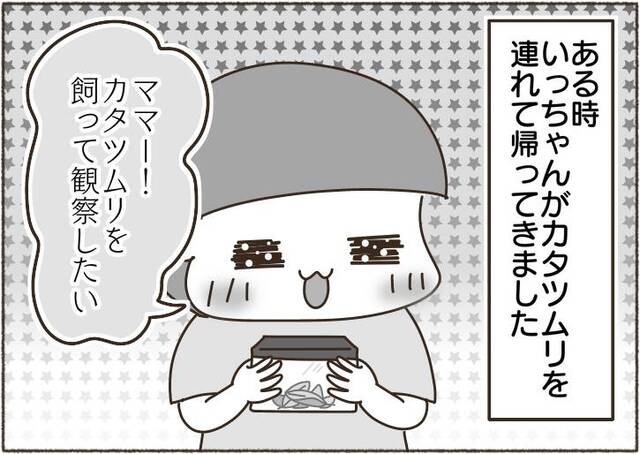 jpg