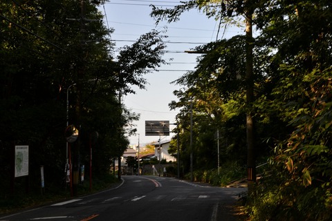 DSC_4758