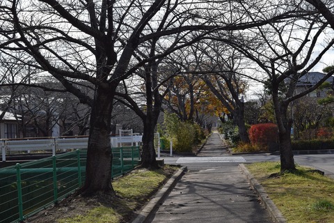 DSC_0067