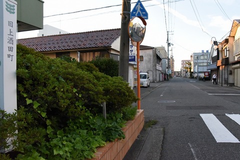DSC_7110