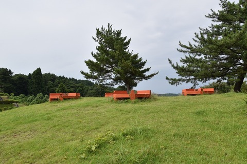 DSC_0051