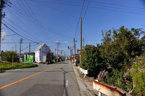 DSC_4770