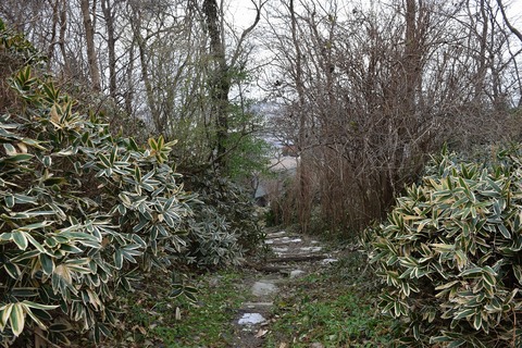 DSC_0061