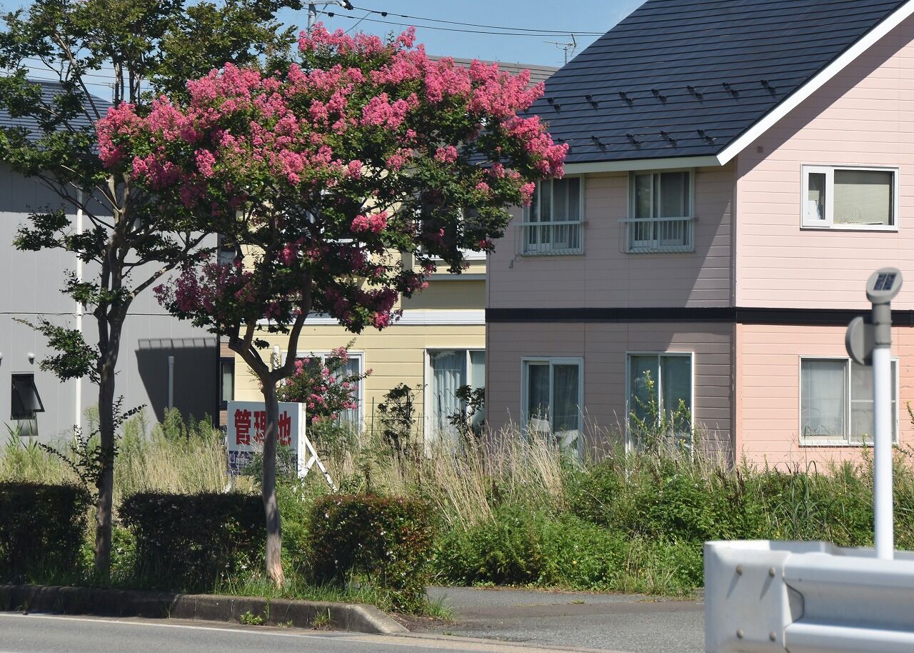 東南アジアの陶磁 クメール・タイ・安南のやきもの 昭和57年 限定700部の内216 糸井健二・島津法樹 雄山閣出版 100040 1_ 東南アジアの陶磁 クメール・タイ・安南のやきもの 昭和57年