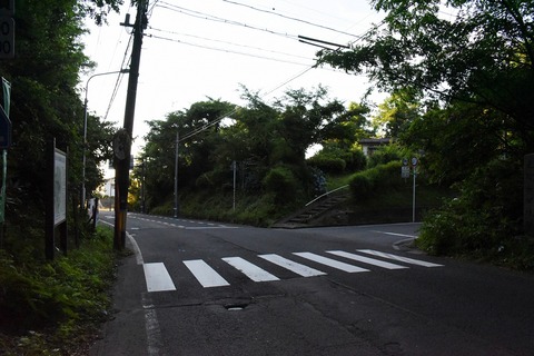 DSC_7000