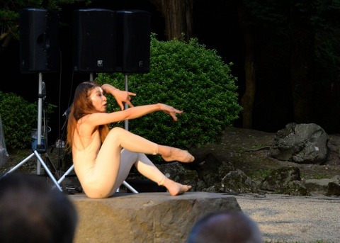 DSC_8639