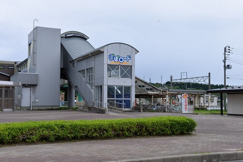 DSC_8003