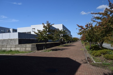 DSC_0112