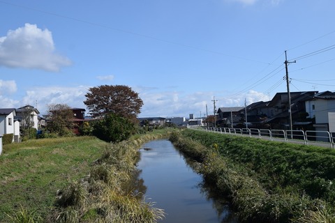 DSC_0040