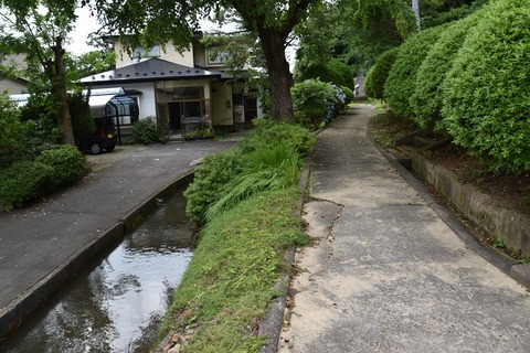 DSC_0018