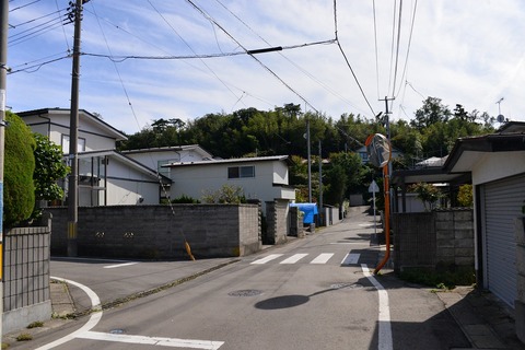 DSC_1973