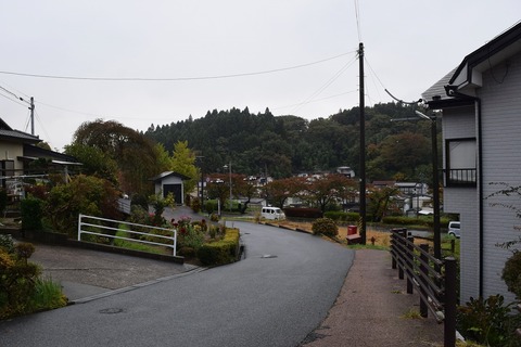 DSC_0465