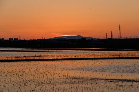 DSC_3977