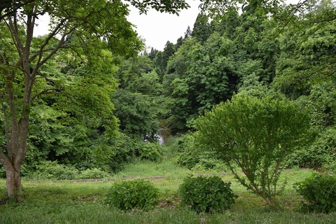 DSC_0065