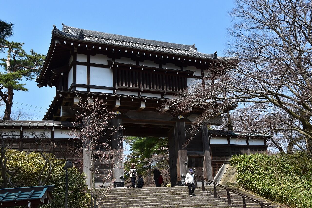 桜が咲く千秋公園へ・草生津川の桜 : 僕の歩く町3