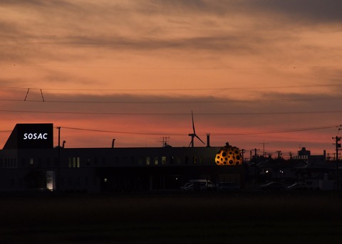 DSC_7290
