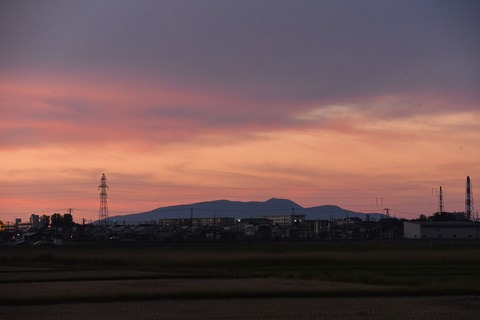 DSC_7246