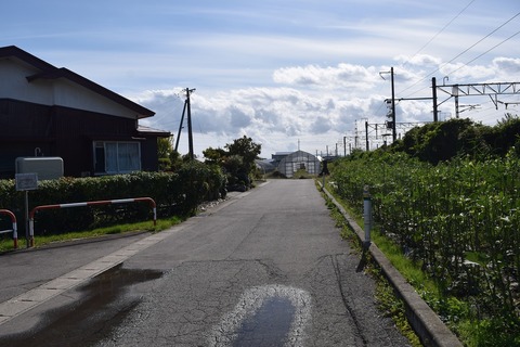 DSC_0011