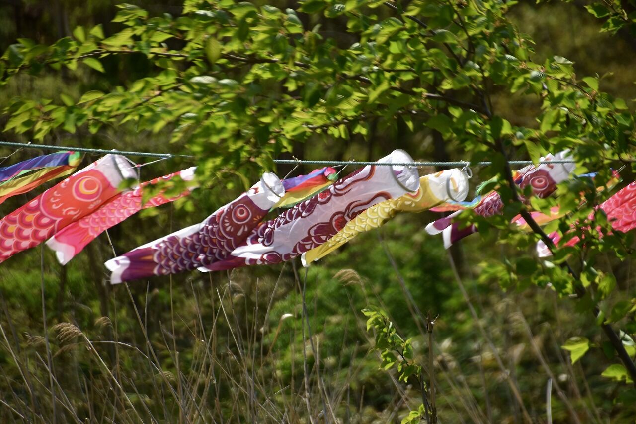 高野の坂から中央高校 ひょうたん沼 高清水公園へ 僕の歩く町3 高野の坂から中央高校 ひょうたん沼 高清水公園へ 僕の歩く町3