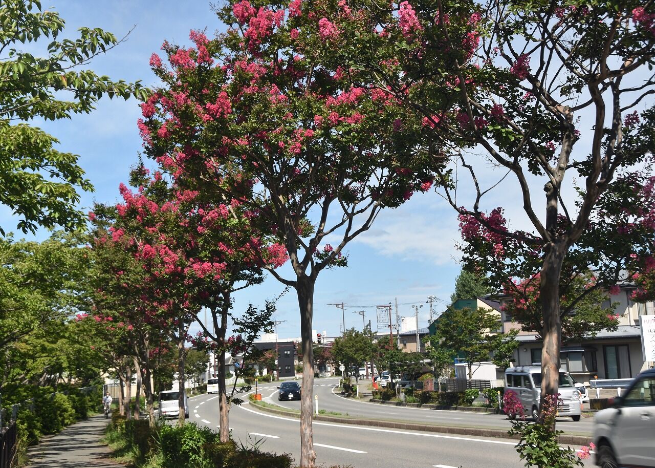 【中古】病院とのつきあい方 : 患者の疑問にズバリ院長が答える／飯田修平 著／東洋経済新報社 中古】病院とのつきあい方 : 患者の疑問にズバリ院長が答える