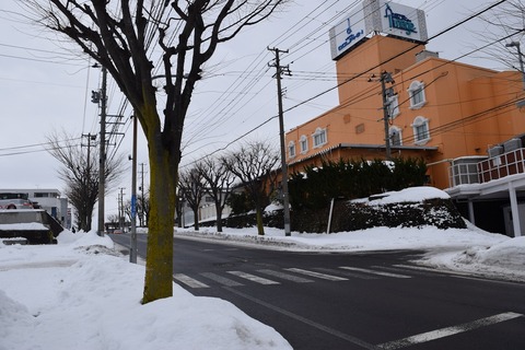 DSC_0270