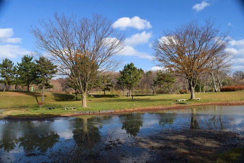 DSC_0248