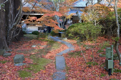 DSC_1980