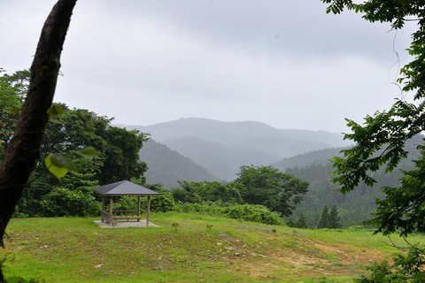 DSC_7485