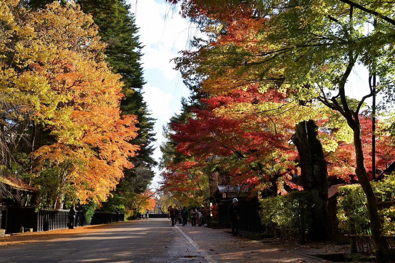 紅葉が見ごろの角館武家屋敷通りへ 僕の歩く町３