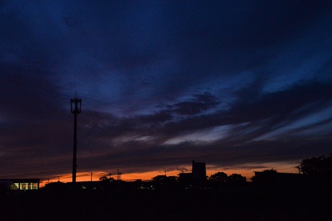 DSC_8667