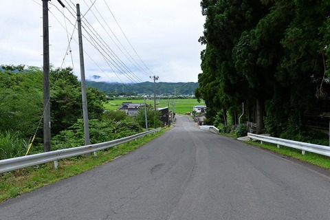 DSC_7965