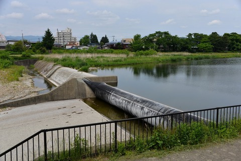 DSC_6650