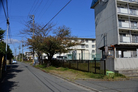 DSC_4790
